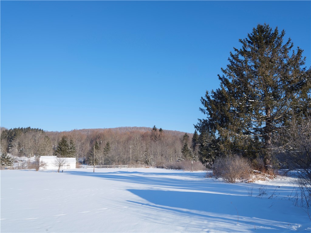 134 Damgaard Road Andes, NY 13731 - Photo 23 of 23