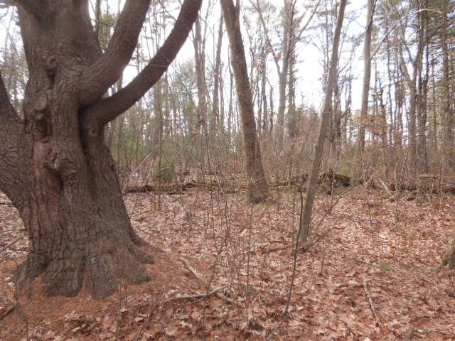 30 B Haley Road Kittery, ME 03904 - Photo 5 of 7