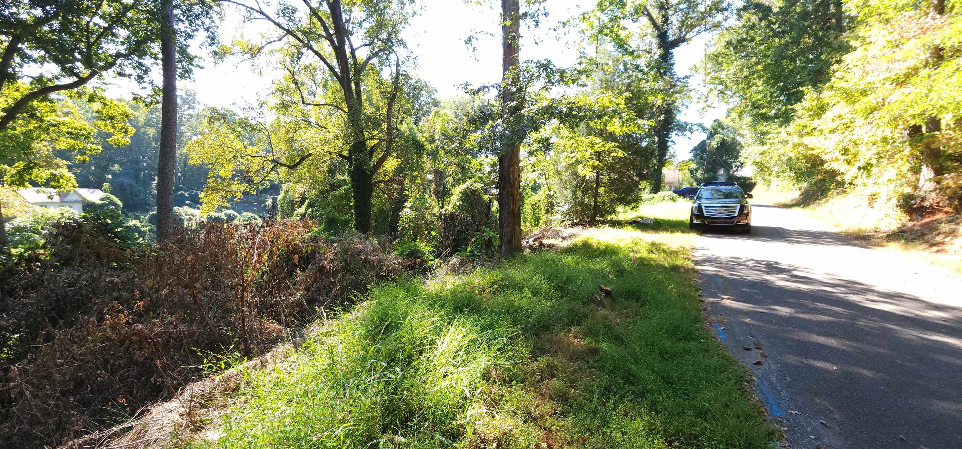 0 Payne Street Tryon, NC 28782 - Photo 1 of 20 Gallery Image 1
