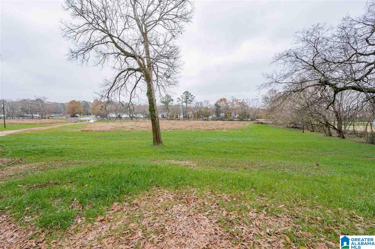 565 Spring Creek Road Montevallo, AL 35115 - Photo 47 of 47