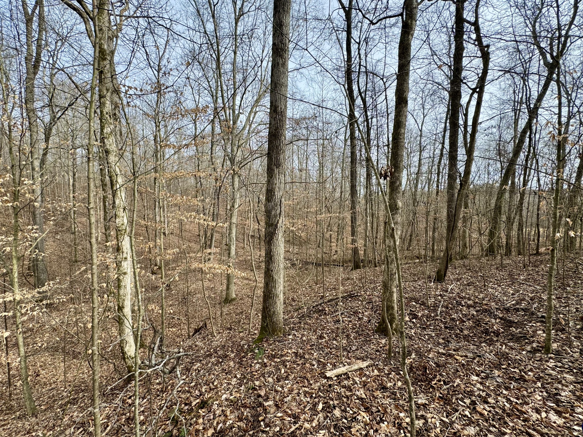 965 Upper Standing Rock Road Dover, TN 37058 - Photo 21 of 25 Gallery Image 21