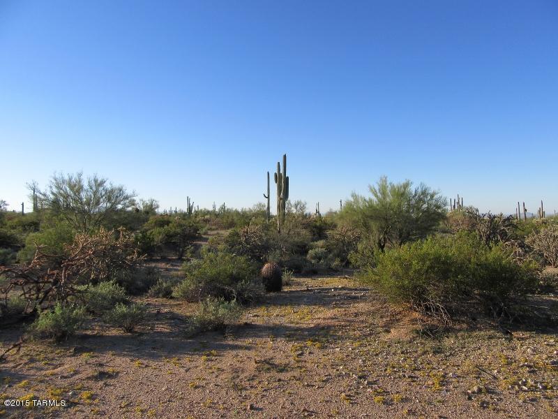 Xx South Davis Ranch Road, Unit 5AC Marana, AZ 85658 - Photo 10 of 14