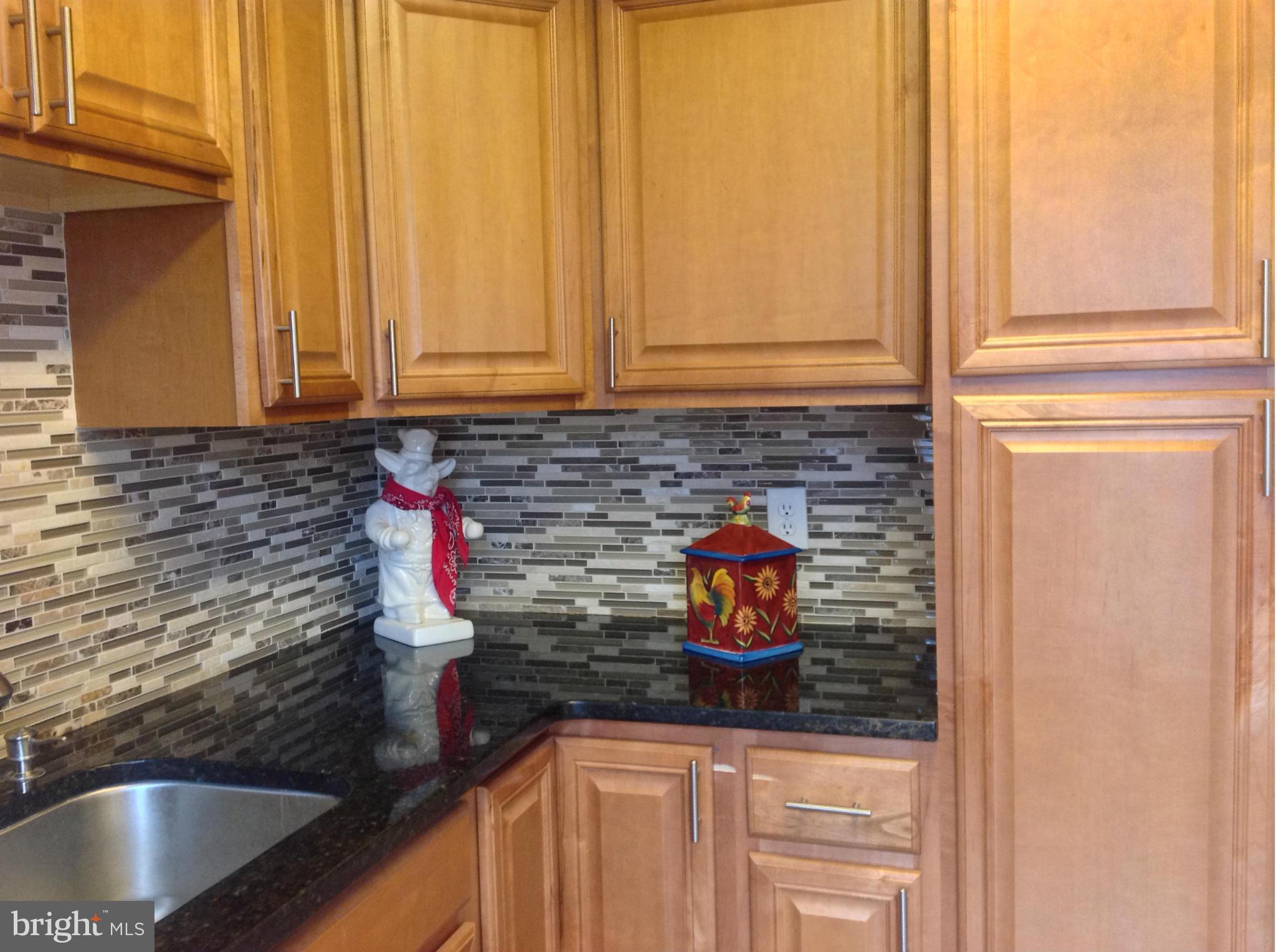 3960 Bel Pre Road, Unit 39605 Silver Spring, MD 20906 - Photo 17 of 46 Kitchen