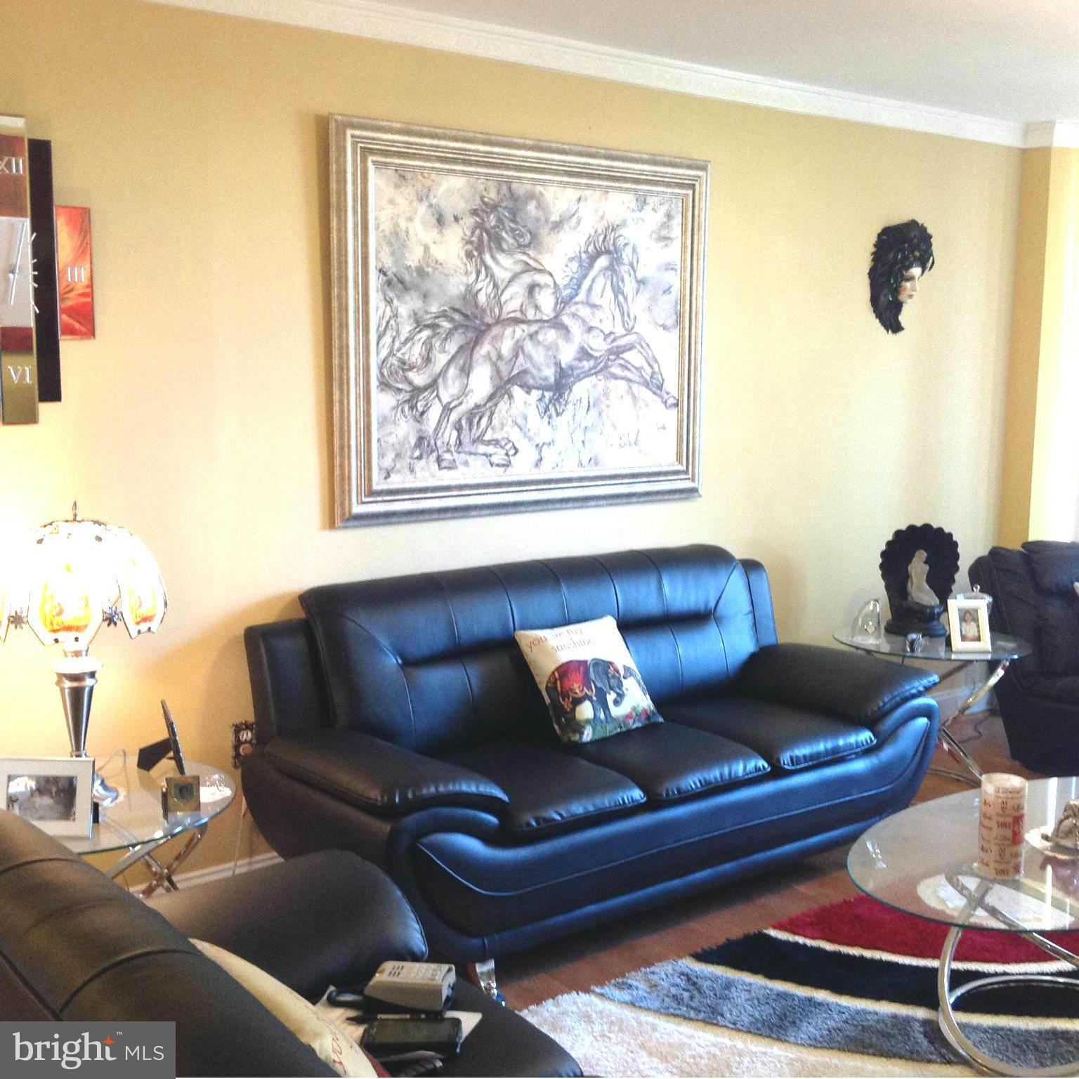 3960 Bel Pre Road, Unit 39605 Silver Spring, MD 20906 - Photo 10 of 46 Living Room