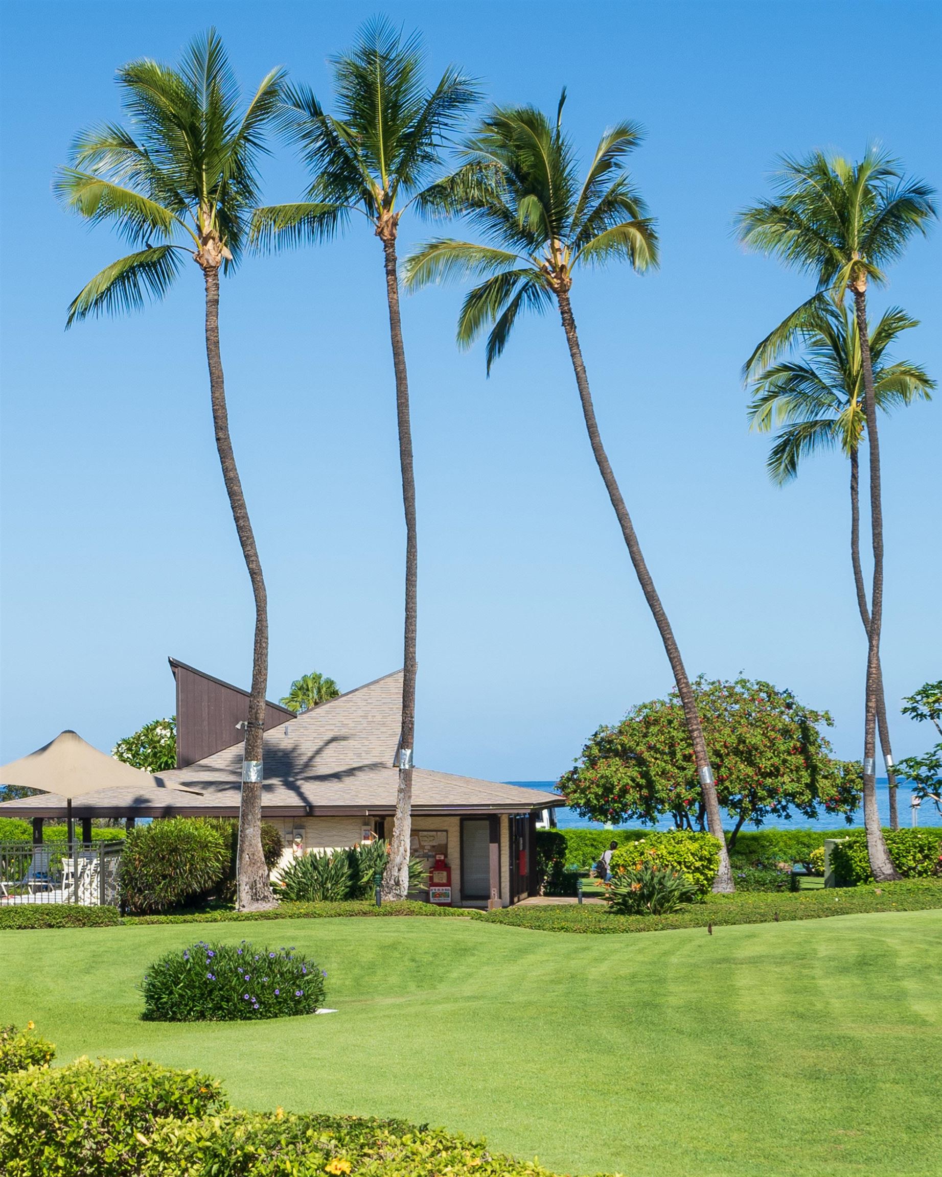 2737 South Kihei Road, Unit 336 Kihei, HI 96753 - Photo 12 of 38 a view of a palm trees in front of a house