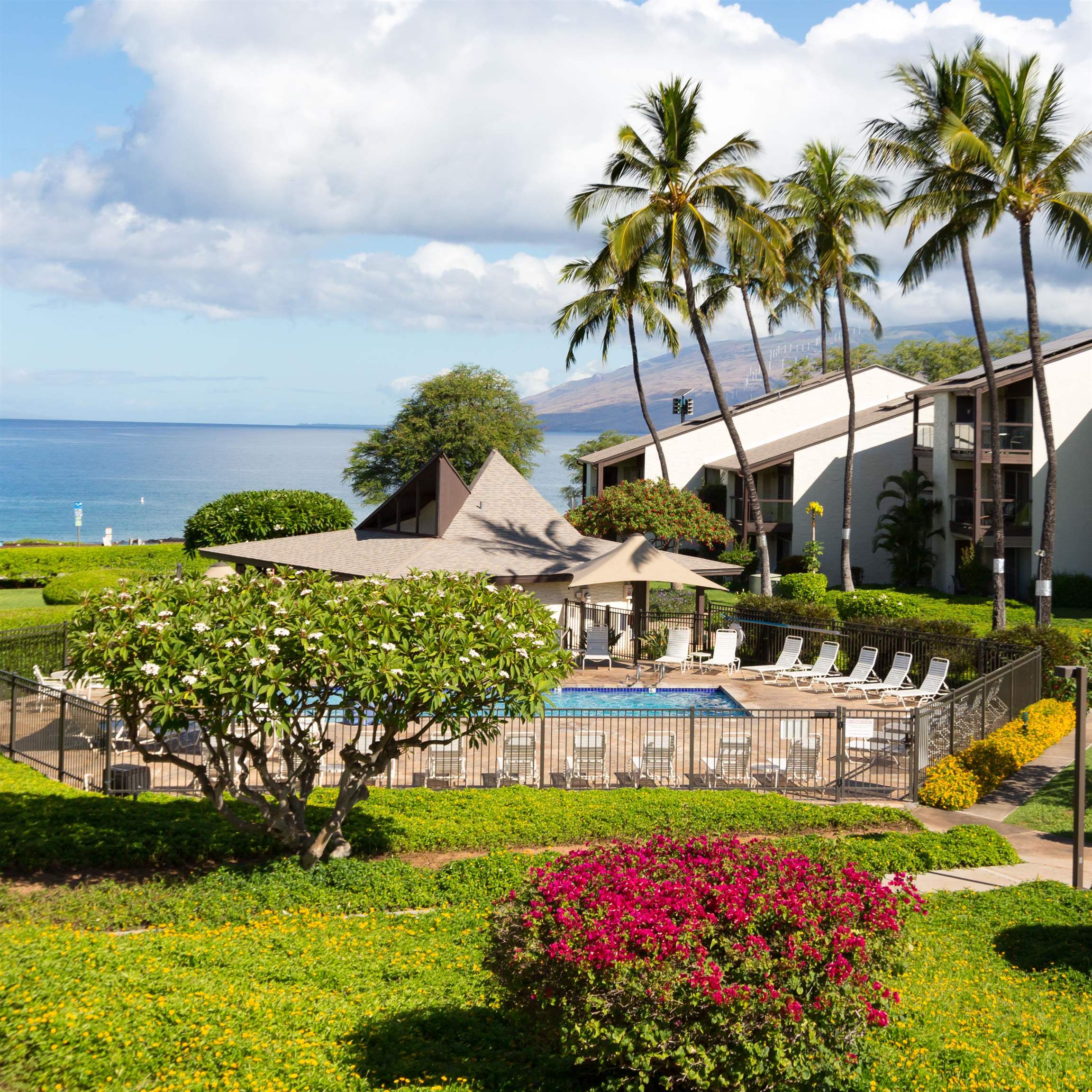 2737 South Kihei Road, Unit 336 Kihei, HI 96753 - Photo 27 of 38 a view of a chairs and table in a garden