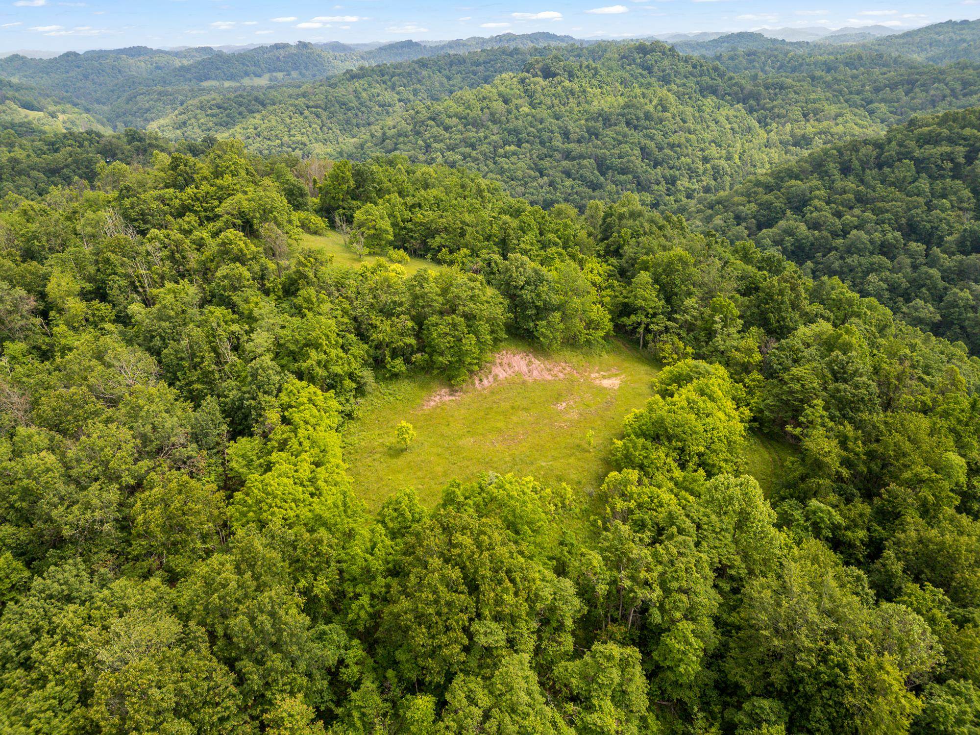 1070 Maple Run Road Looneyville, WV 25259 - Photo 6 of 32
