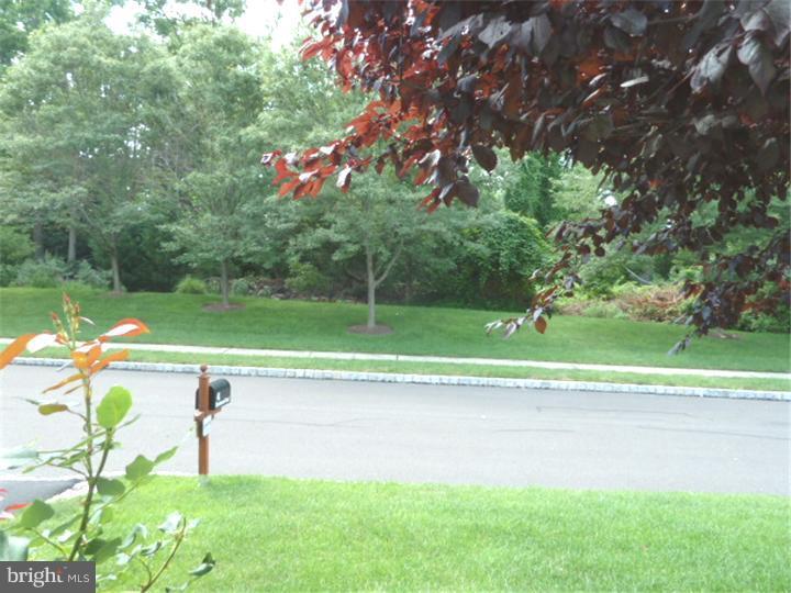 41 Bluebonnet Road Langhorne, PA 19047 - Photo 2 of 25 View from Front Door