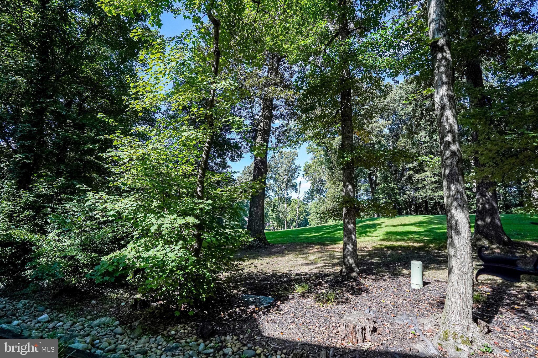 11624 Newbridge Court Reston, VA 20191 - Photo 50 of 60