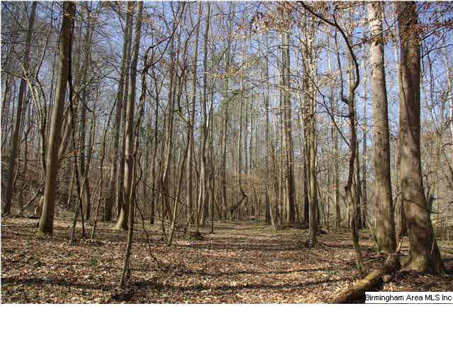 3 Horton Mill Road, Unit 1 Cleveland, AL 35049 - Photo 14 of 28 Gallery Image 14