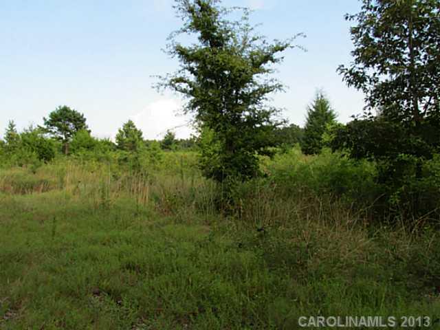 34-ac Medlin Road Monroe, NC 28112 - Photo 4 of 5 Gallery Image 4