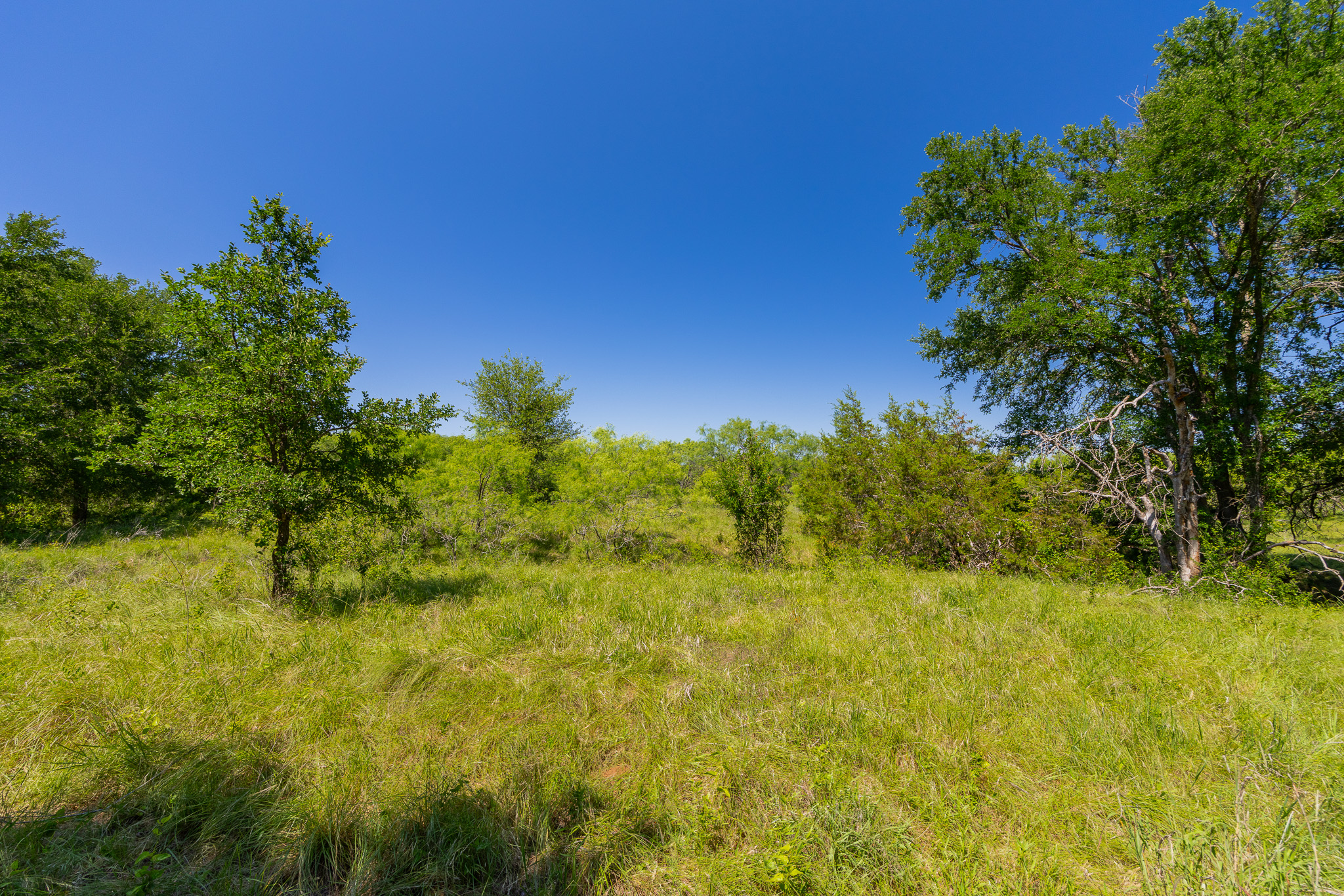 180 Covered Meadows Ranch Road Purmela, TX 76566 - Photo 20 of 21