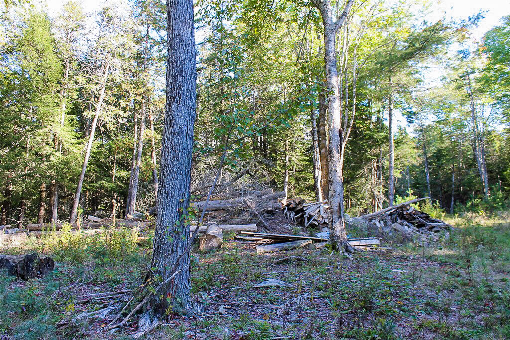 0 Smith Road Ellsworth, ME 04605 - Photo 15 of 17 IMG_8837-2
