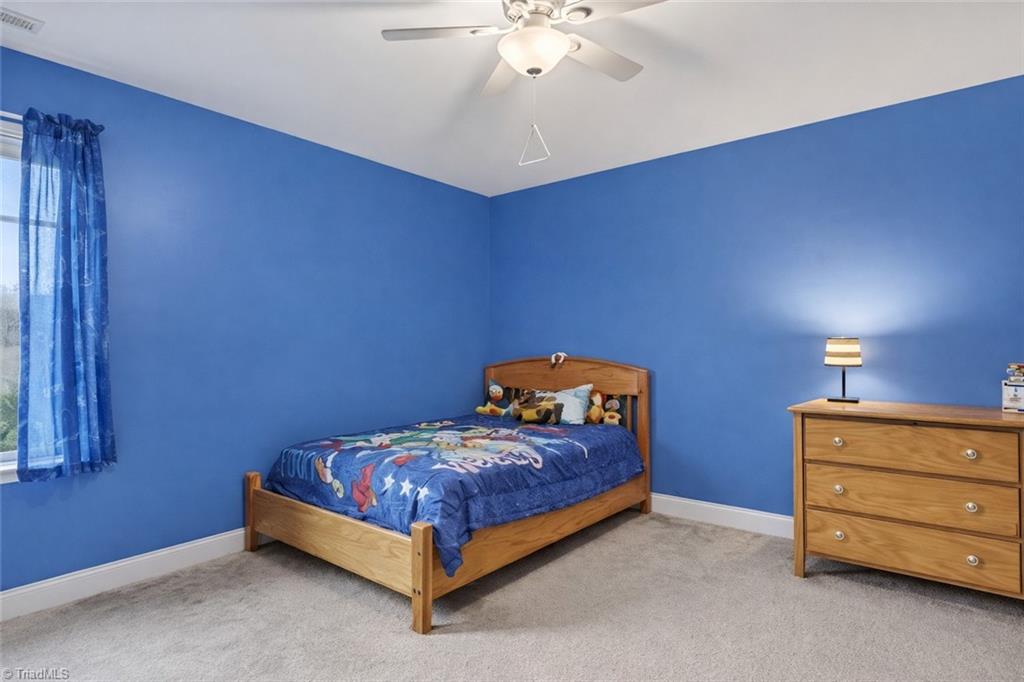 115 Radiant Path Trinity, NC 27370 - Photo 34 of 45