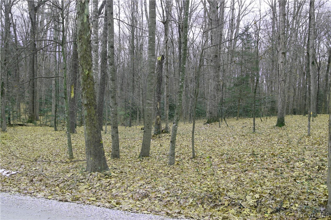 1475 Amber Lake Road Crozier, VA 23039 - Photo 3 of 5 Gallery Image 3