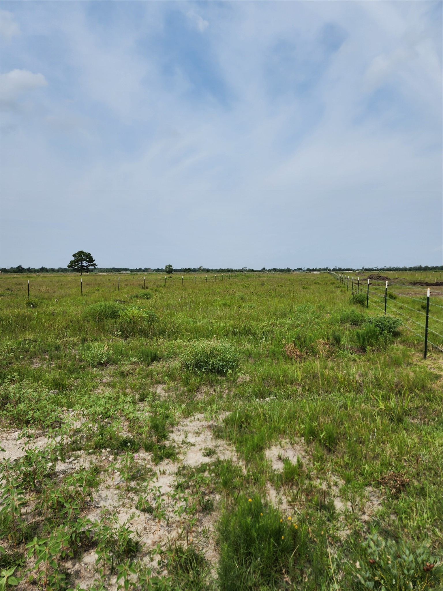 6620 Eagle Road Anahuac, TX 77514 - Photo 4 of 6 a backyard of a house with lots of green space