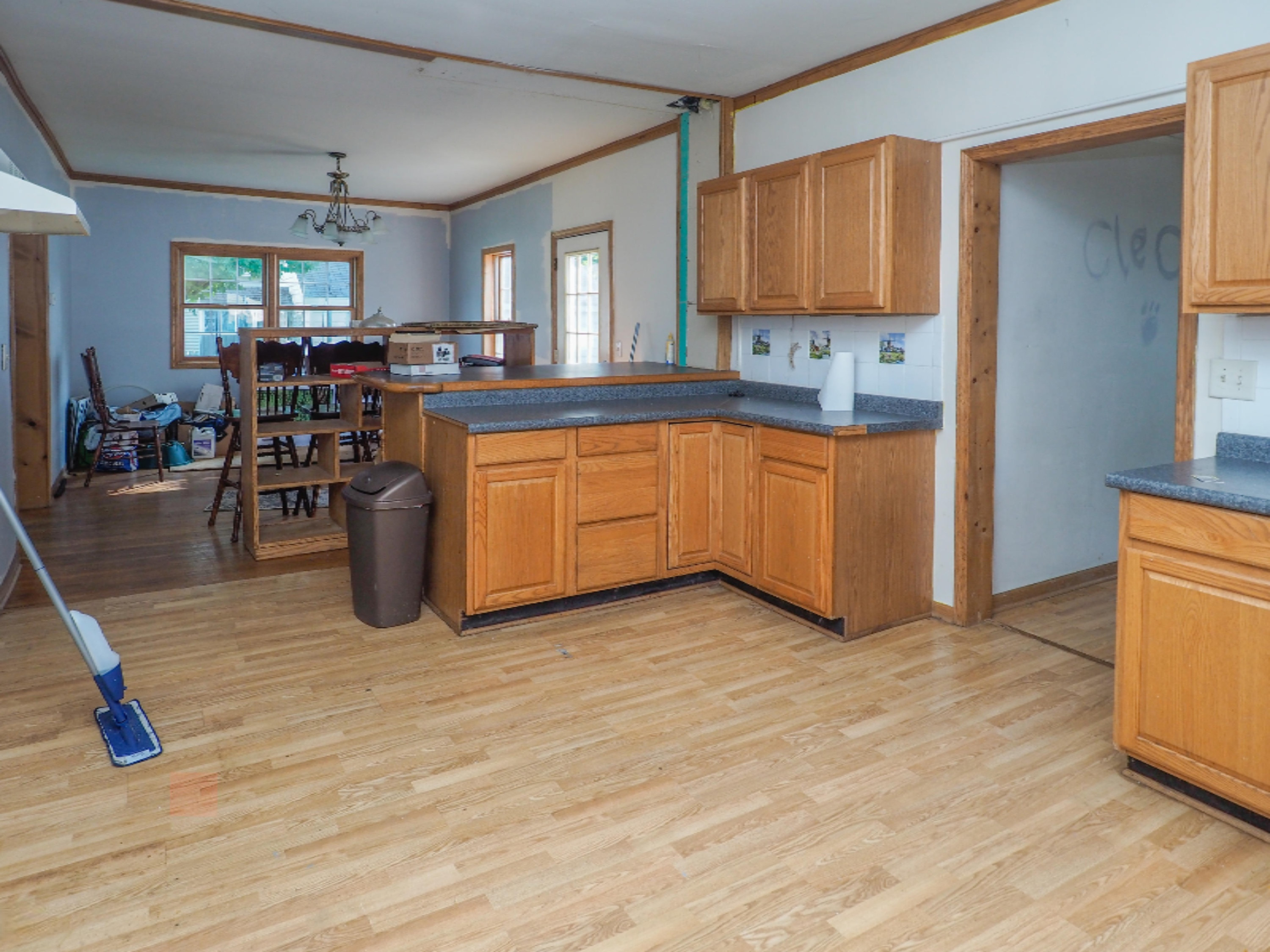 107 West St Marys Street Decatur, MI 49045 - Photo 9 of 22 107 West St. Mary St-508