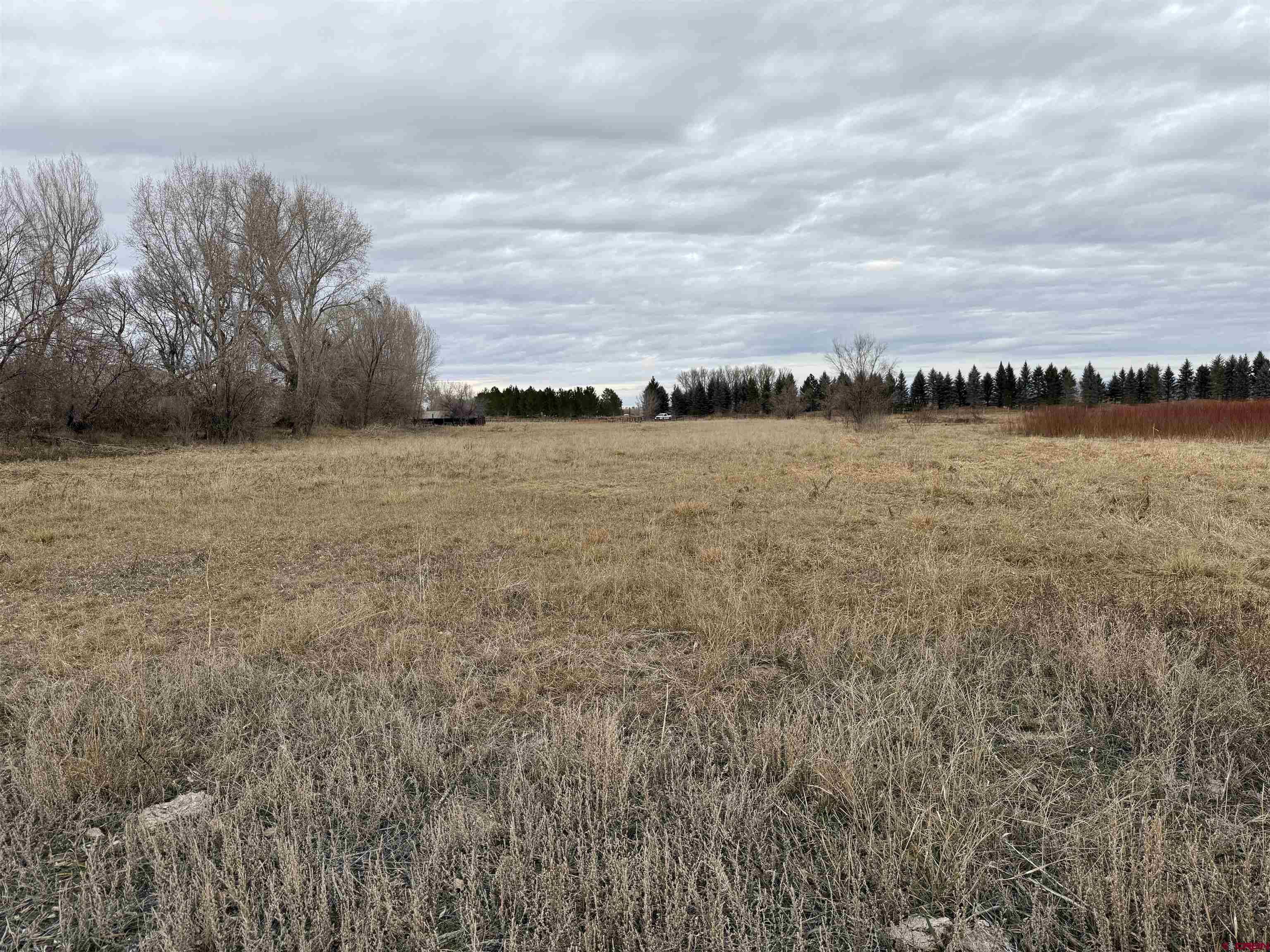 Tbd Riverside Road Montrose, CO 81401 - Photo 5 of 5 a view of a lake