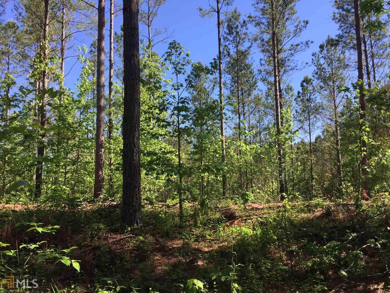 0 Pin Hook Road, Unit TRACT 6 Ranger, GA 30734 - Photo 1 of 1 a view of a garden