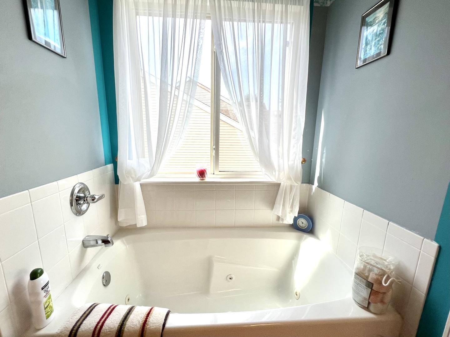 1800 Fulton Lane Sycamore, IL 60178 - Photo 32 of 48 a bath tub sitting in a bathroom next to a window