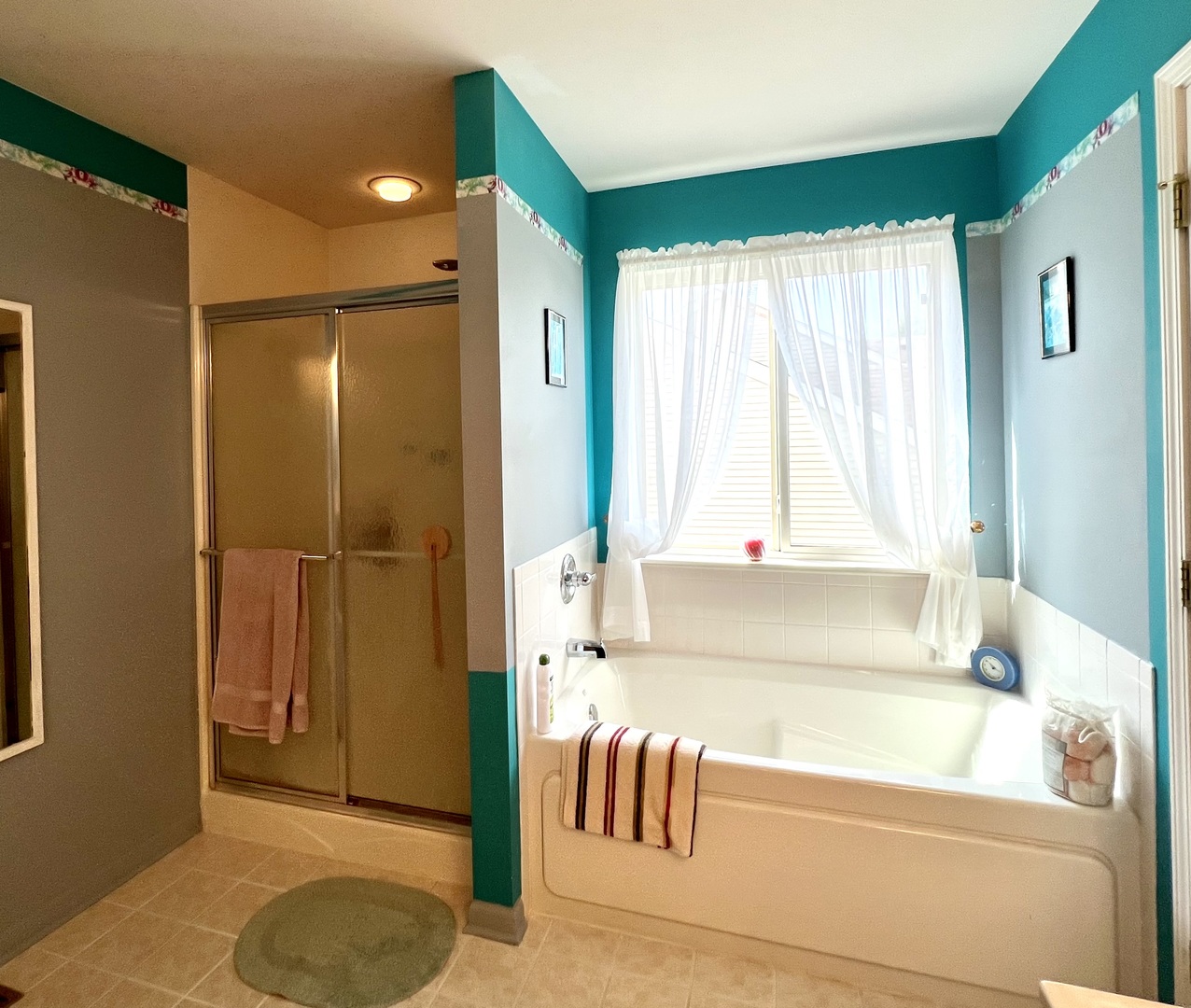 1800 Fulton Lane Sycamore, IL 60178 - Photo 33 of 48 a bathroom with a tub and a shower
