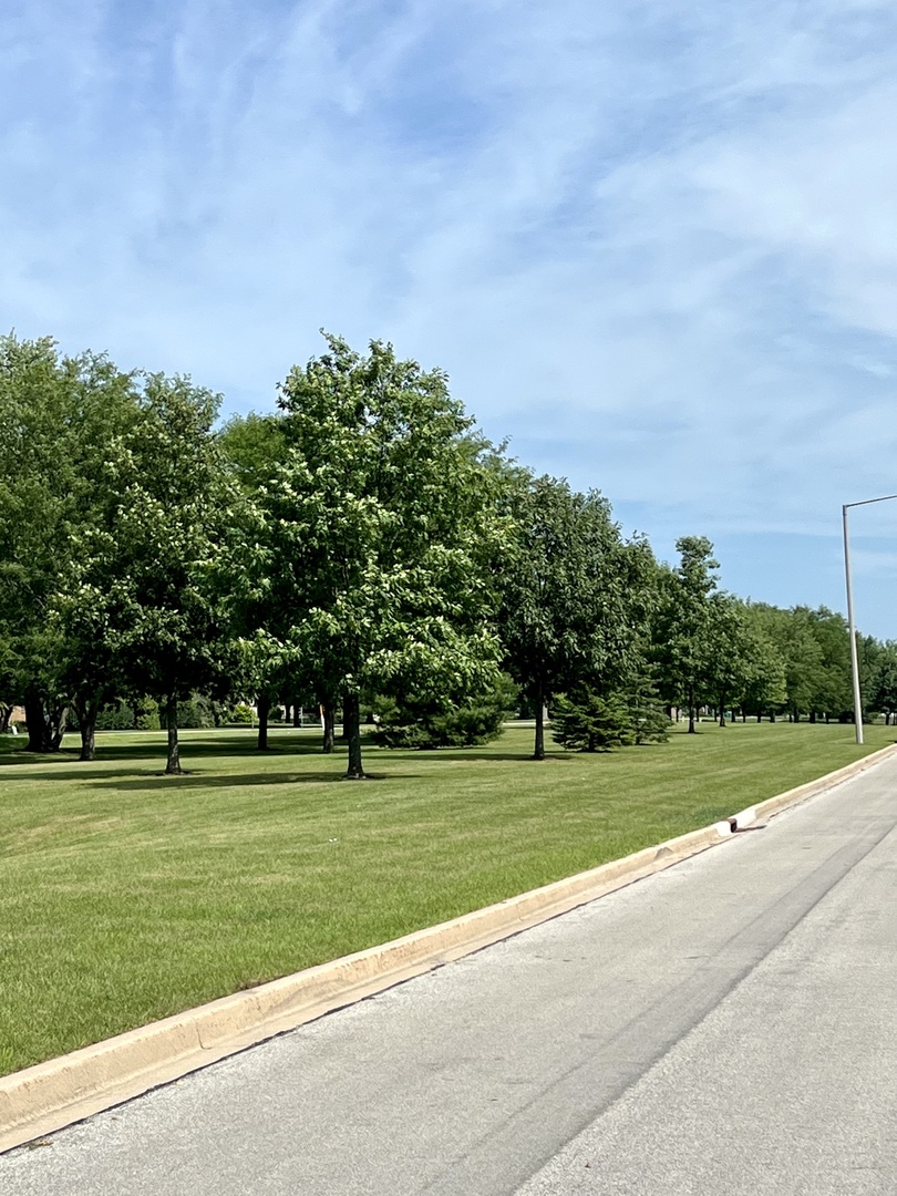 1800 Fulton Lane Sycamore, IL 60178 - Photo 45 of 48 a grassy field with trees in the background