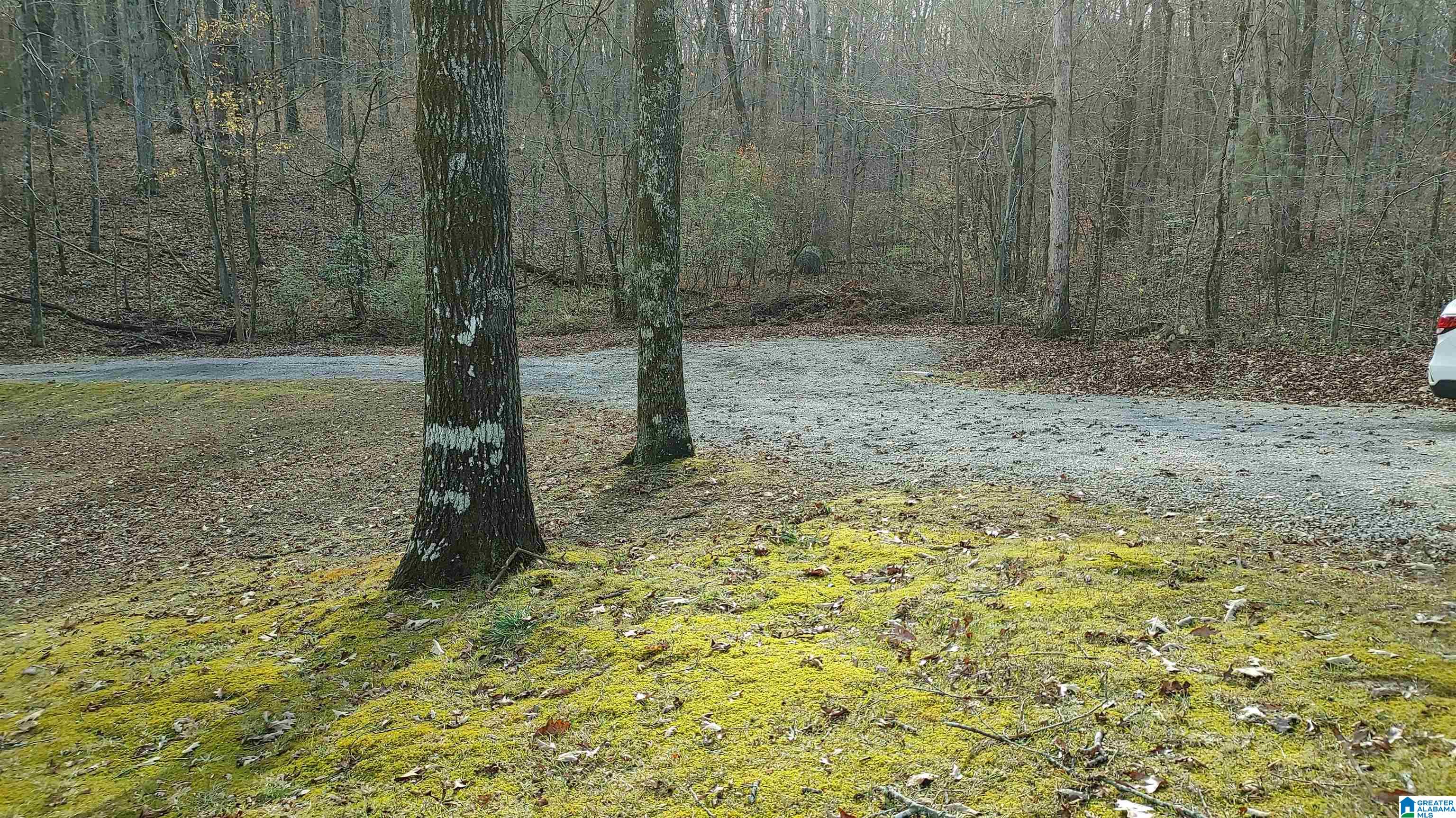 6616 New Castle Road Morris, AL 35116 - Photo 20 of 25