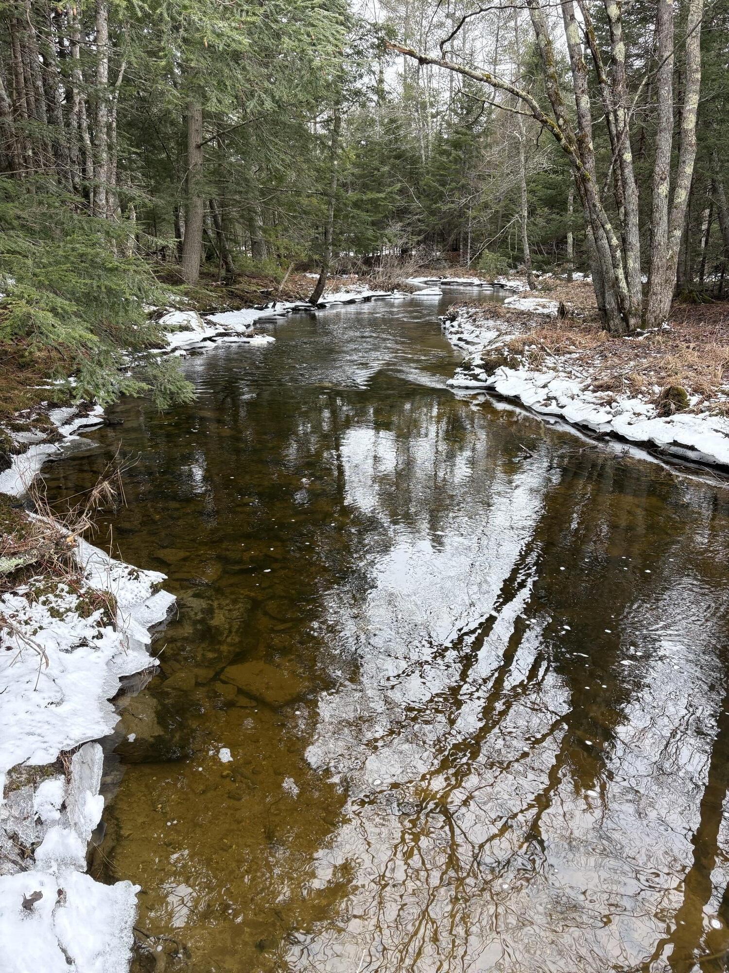 106 Williams Road Sabattus, ME 04280 - Photo 68 of 70 IMG_5630