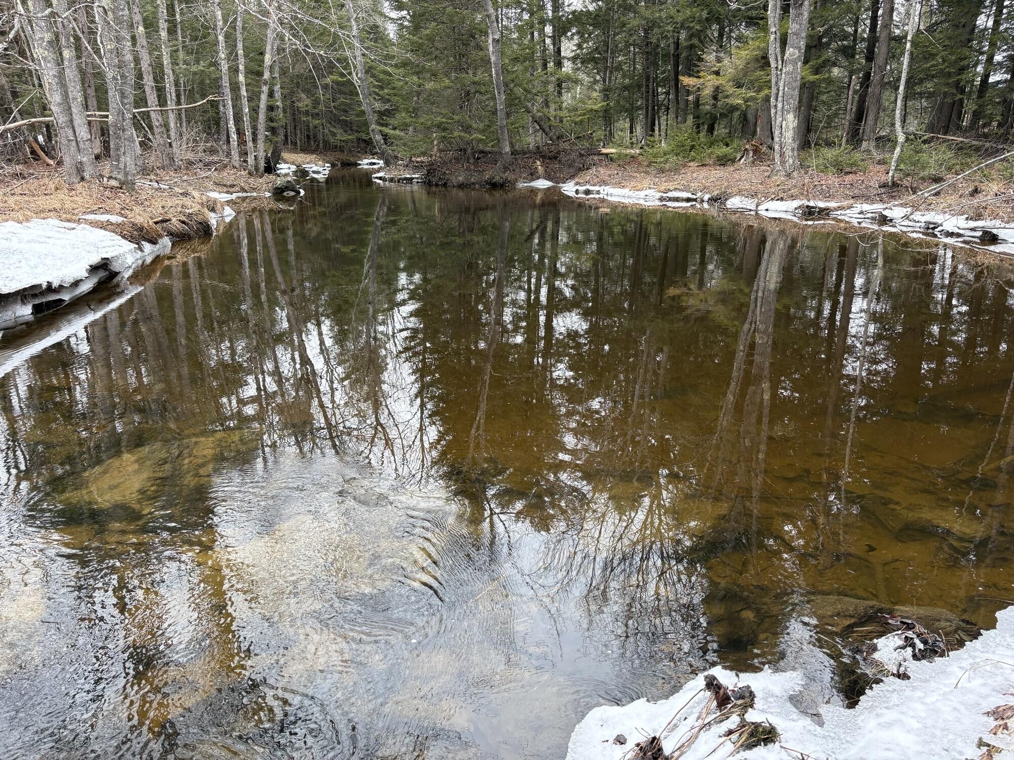 106 Williams Road Sabattus, ME 04280 - Photo 69 of 70 IMG_5632