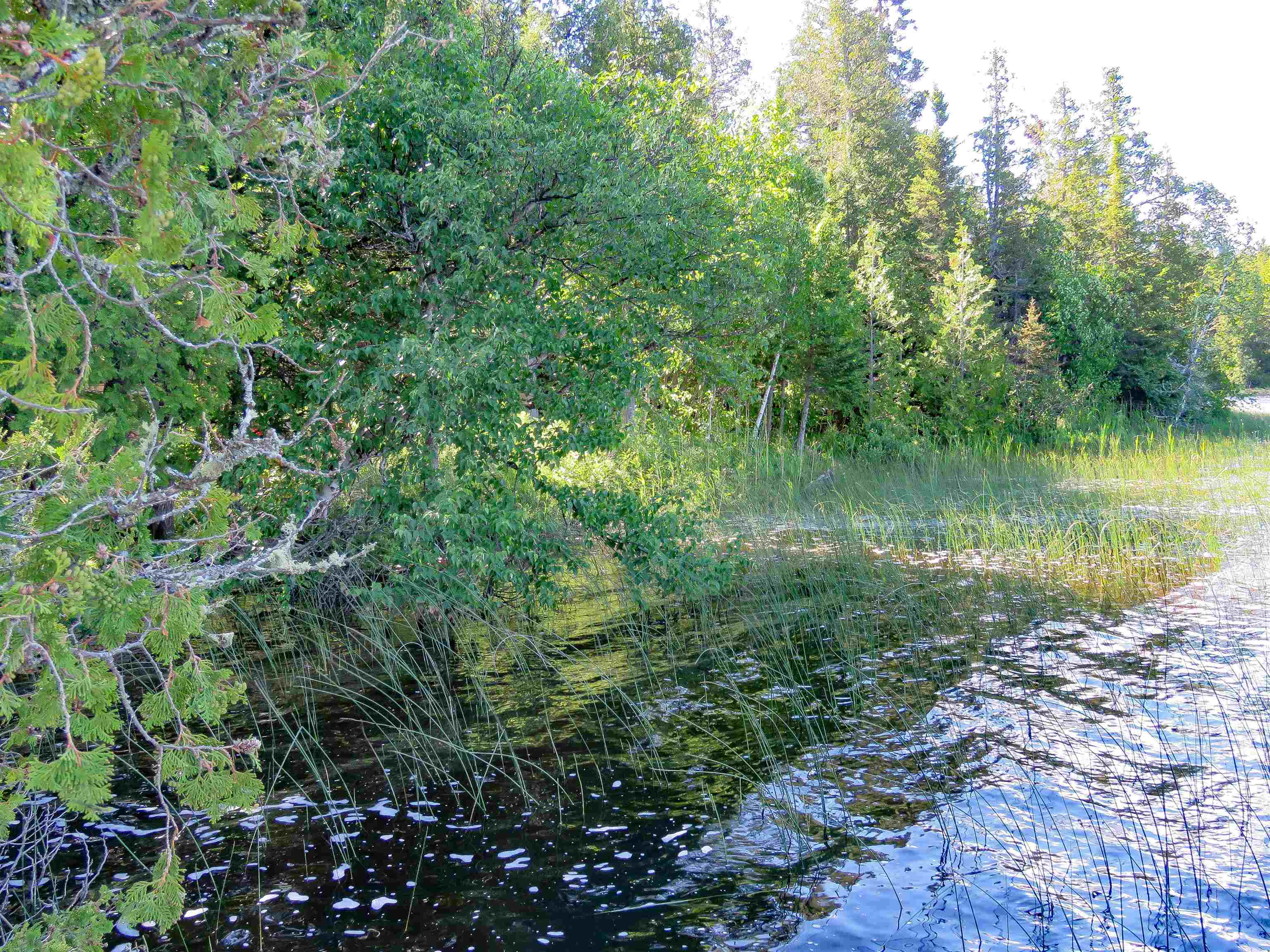 395 2 Mile Road Lutsen, MN 55612 - Photo 36 of 40