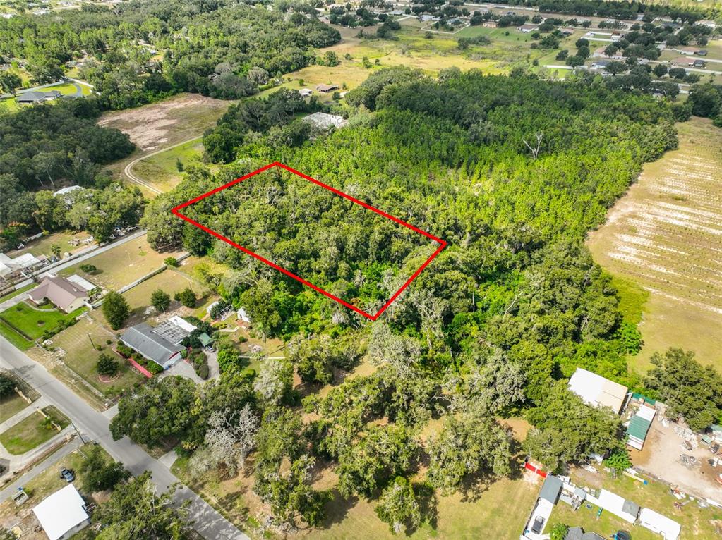 Stark Road Seffner, FL 33584 - Photo 4 of 19 Gallery Image 4