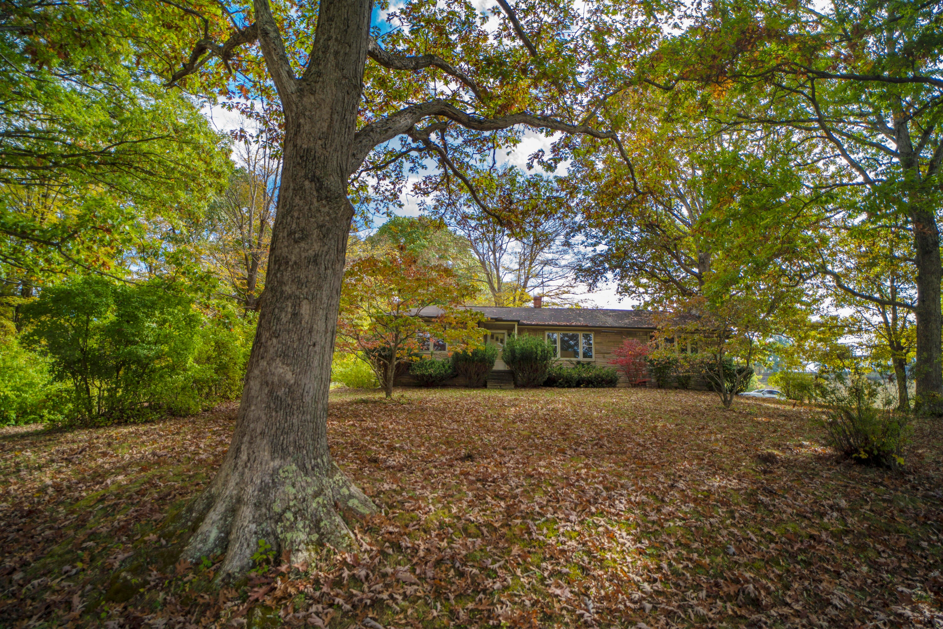950 Horseshoe Bend Road Ronceverte, WV 24970 - Photo 2 of 22 Gallery Image 2