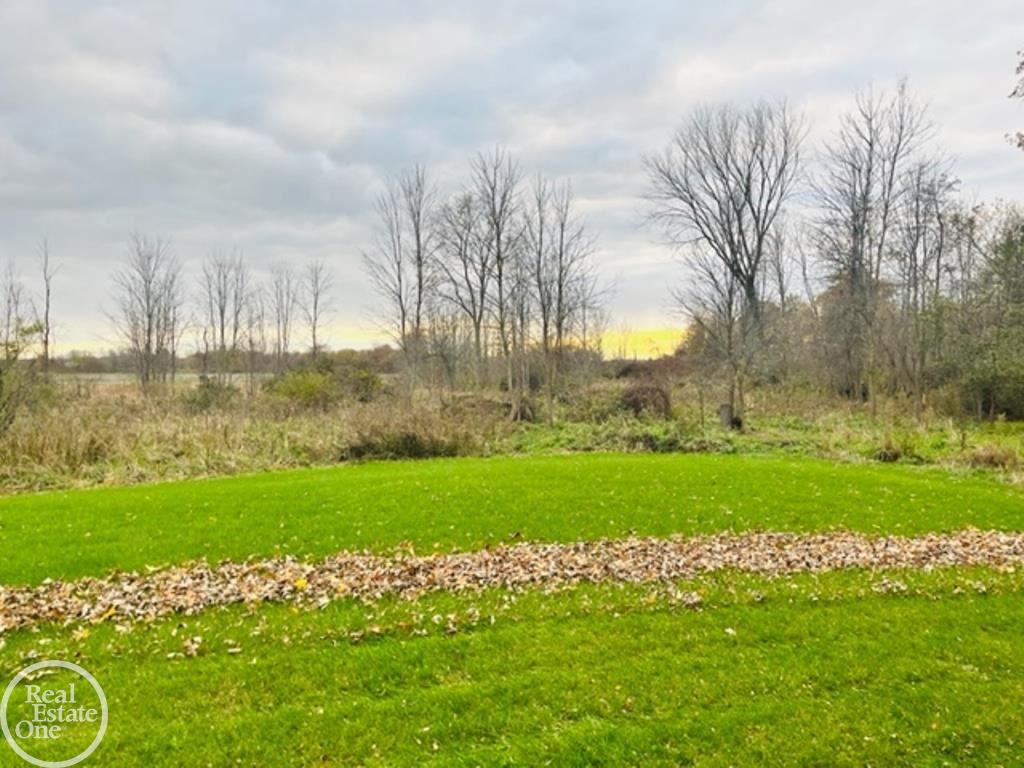 7933 Capac Road Yale, MI 48097 - Photo 13 of 42