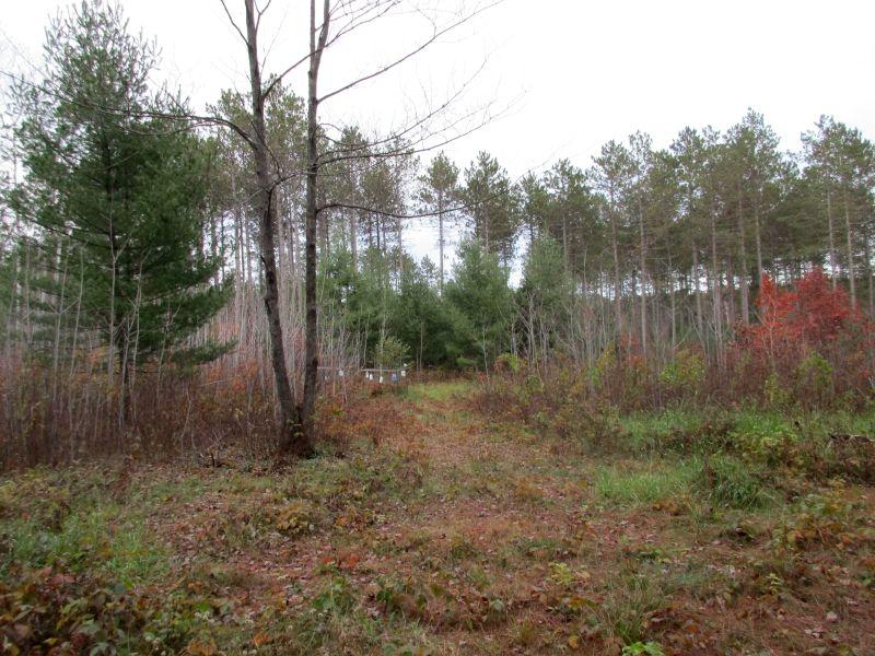 3728 Pine Square Road Tomahawk, WI 54487 - Photo 61 of 71 Gallery Image 61