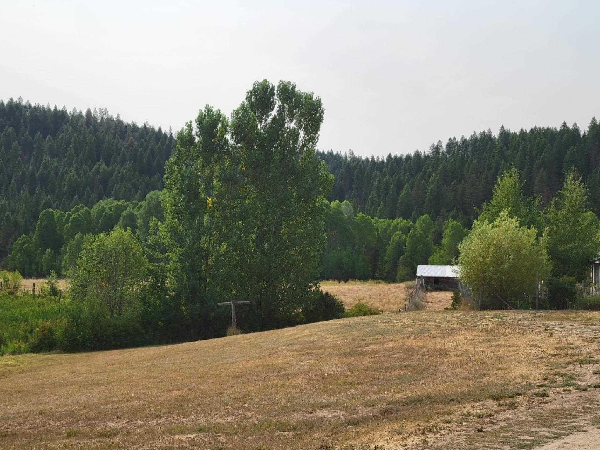 4819 A Springdale Hunters Road Springdale, WA 99173 - Photo 30 of 47