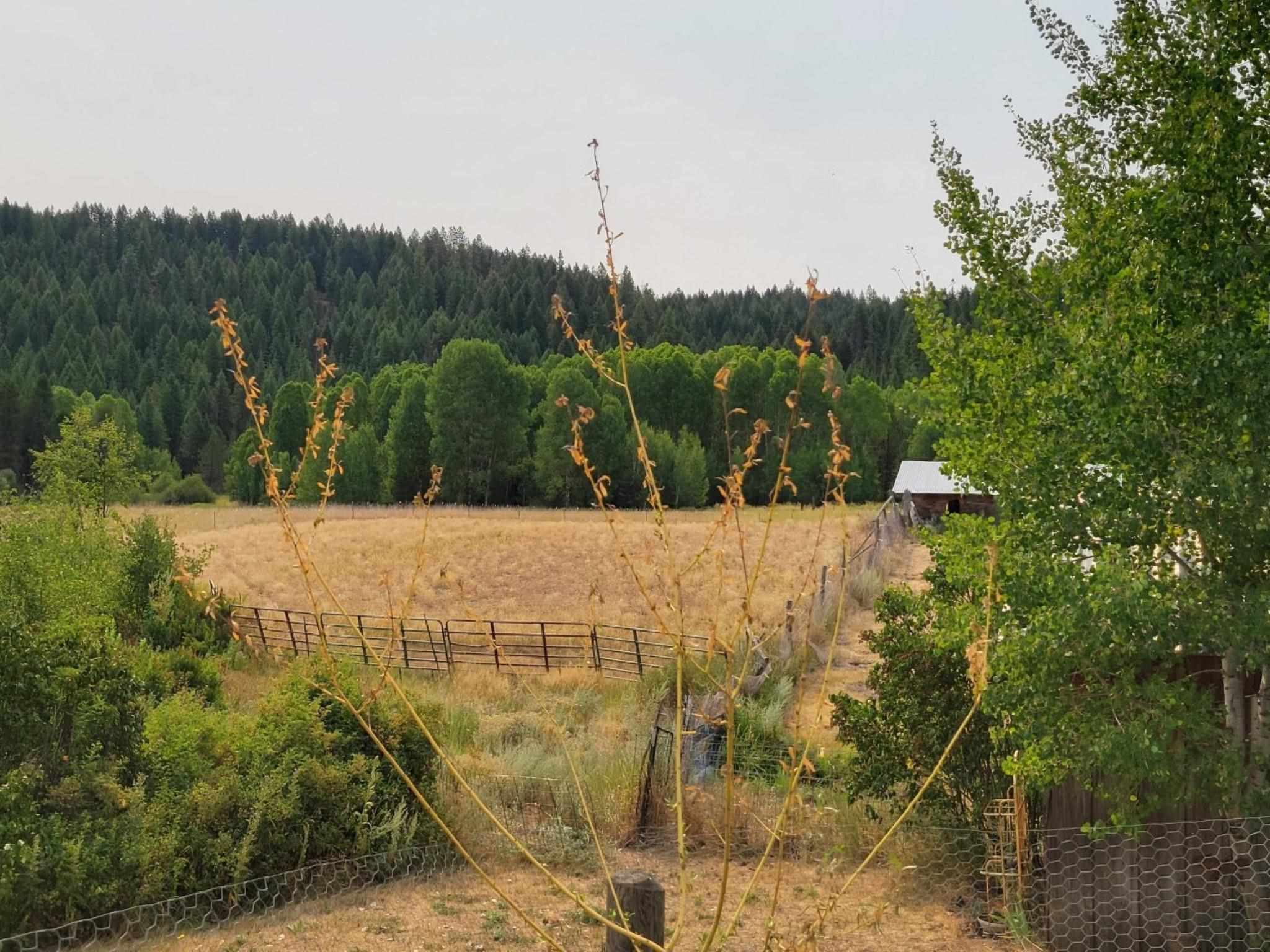 4819 A Springdale Hunters Road Springdale, WA 99173 - Photo 42 of 47