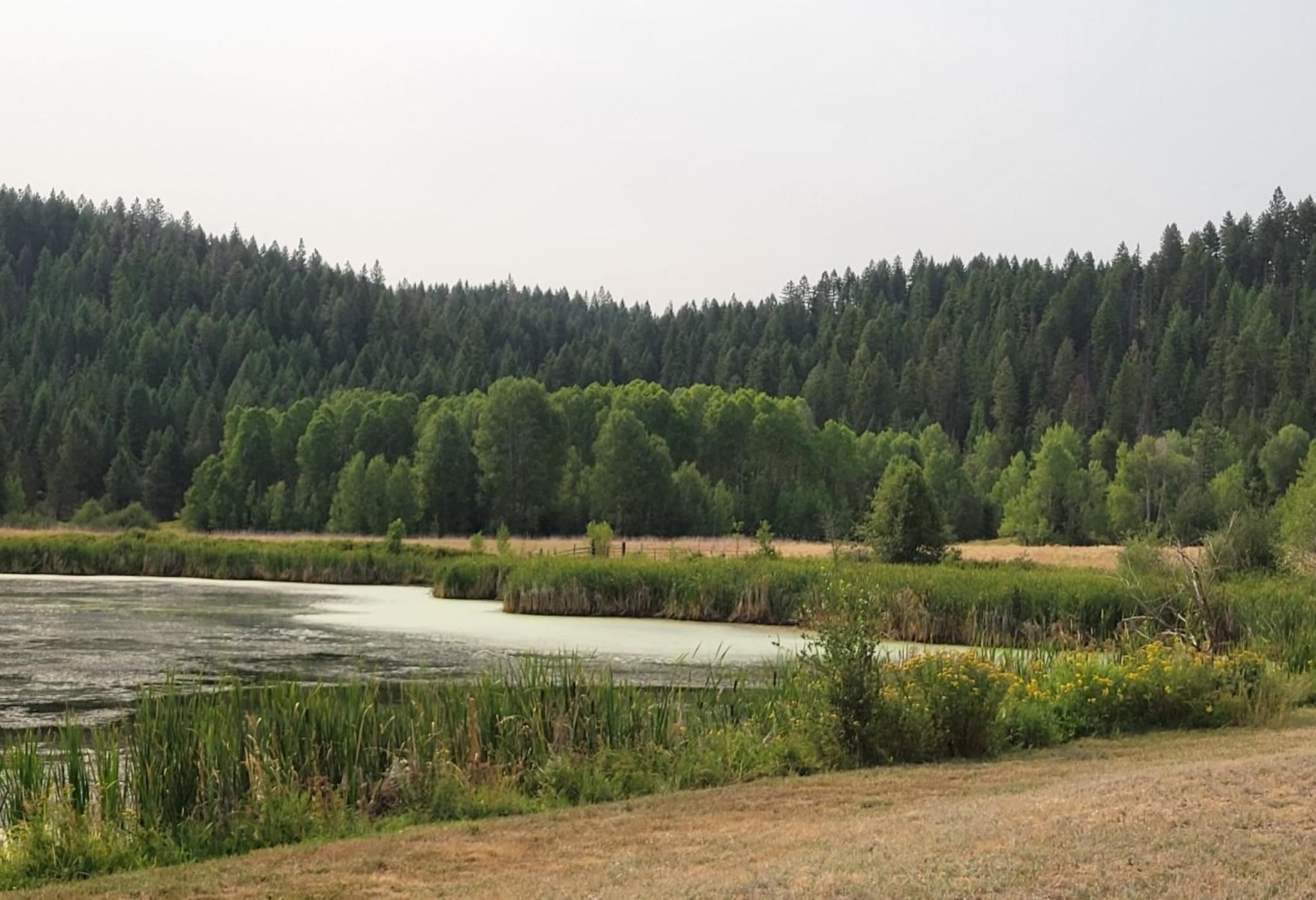 4819 A Springdale Hunters Road Springdale, WA 99173 - Photo 46 of 47