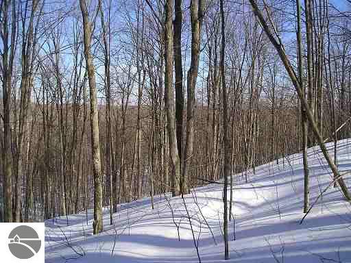 Matters Trail Vanderbilt, MI 49795 - Photo 9 of 9 1645545-8.JPG