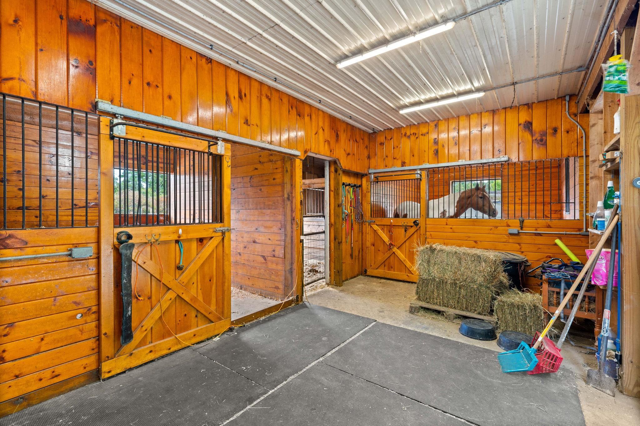 36 Cotton Road Deerfield, NH 03037 - Photo 58 of 60