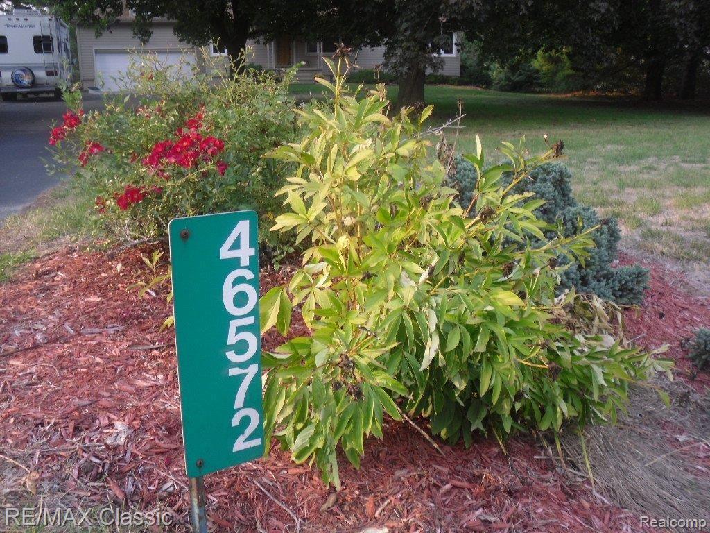 46572 Bemis Road Belleville, MI 48111 - Photo 21 of 22 NICELY LANDSCAPED