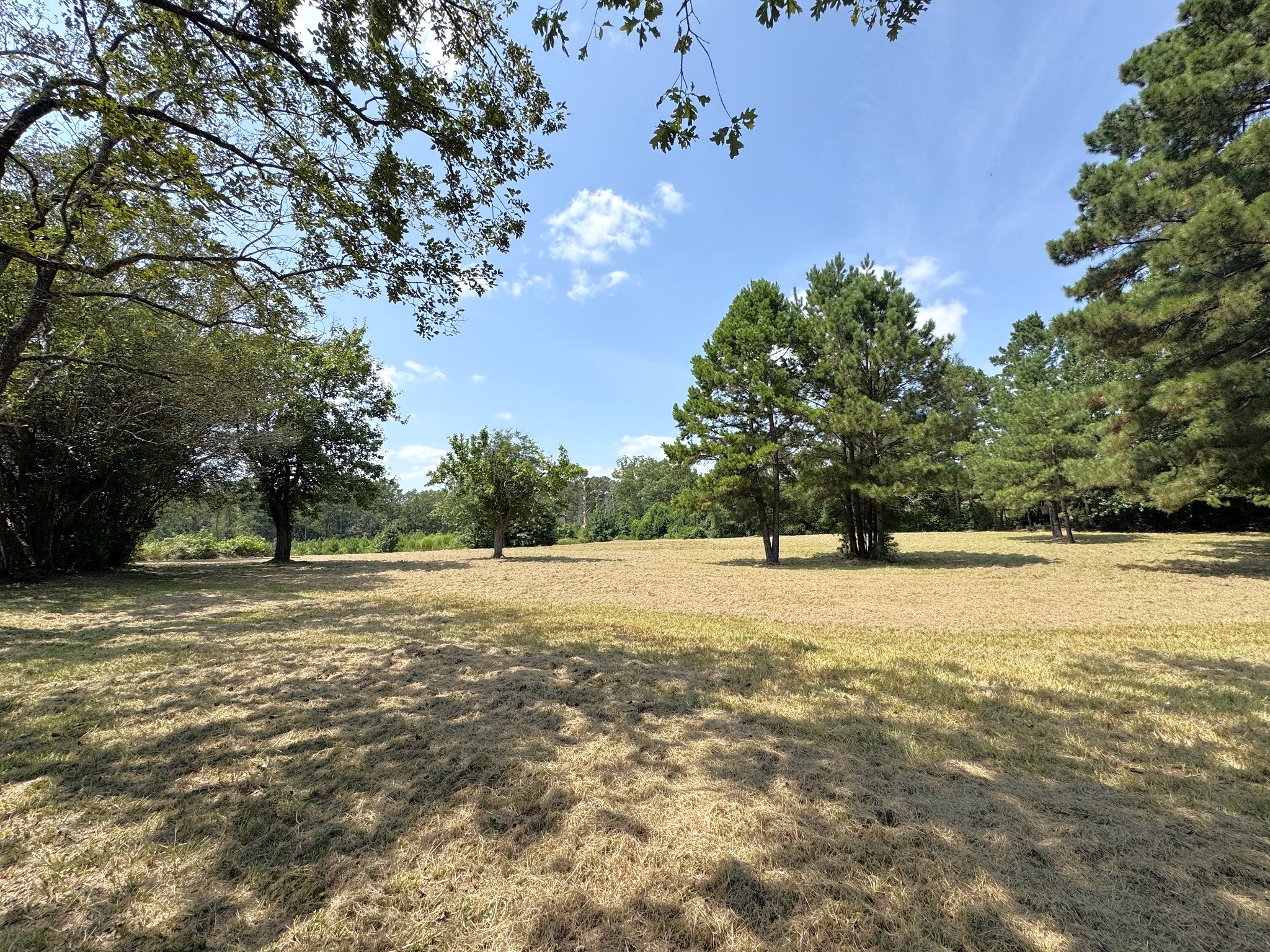 Tbd South Pitzer Street Colmesneil, TX 75938 - Photo 35 of 43 a view of an ocean and beach
