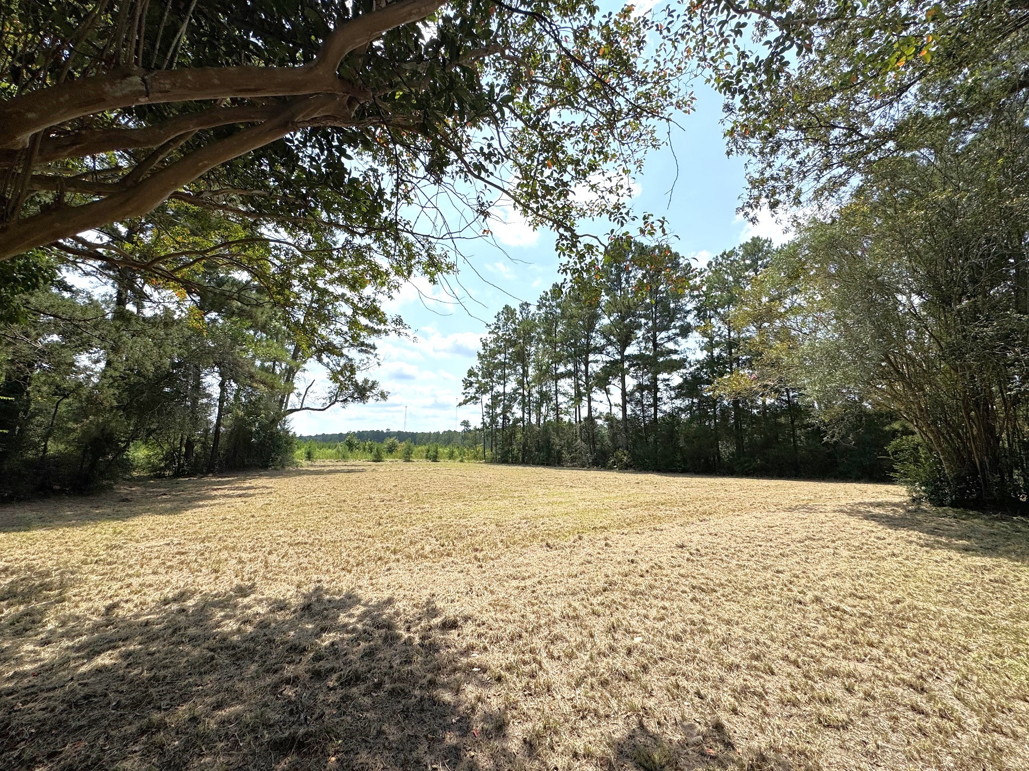Tbd South Pitzer Street Colmesneil, TX 75938 - Photo 36 of 43 a view of an outdoor space and a yard