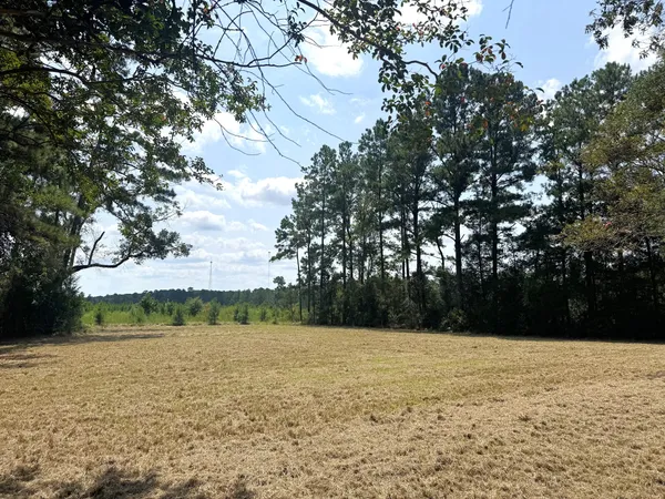 $294,000 | Tbd South Pitzer Street, Colmesneil, TX 75938