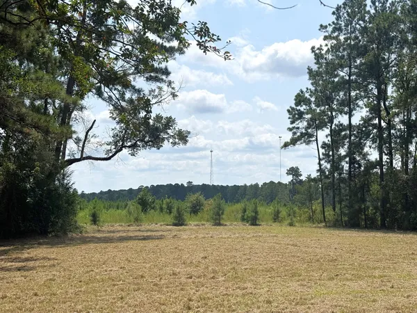 $294,000 | Tbd South Pitzer Street, Colmesneil, TX 75938