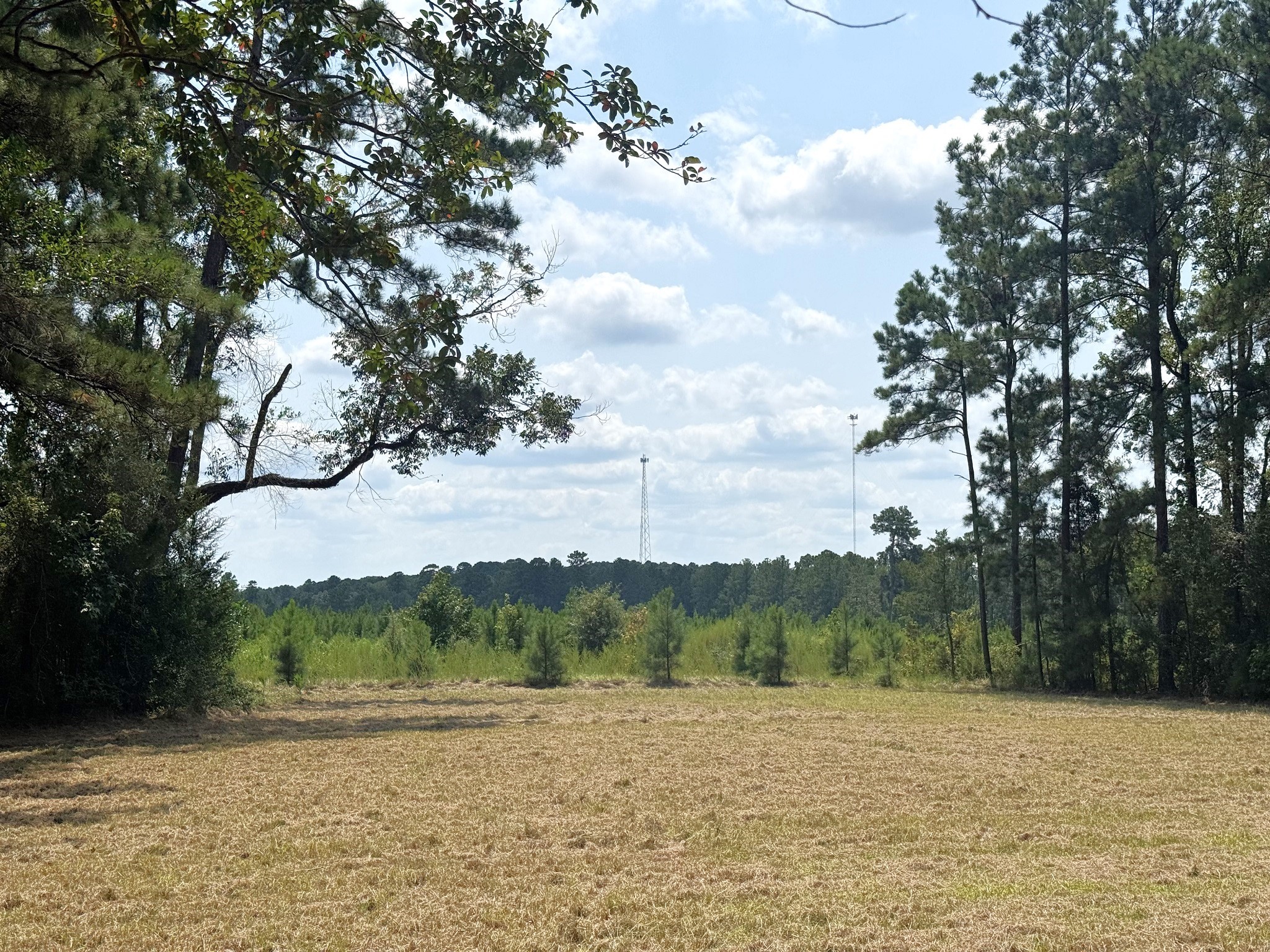 Tbd South Pitzer Street Colmesneil, TX 75938 - Photo 38 of 43 a view of lake