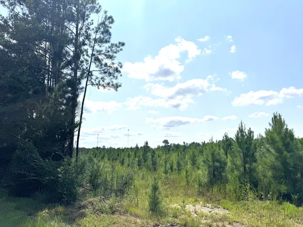 $294,000 | Tbd South Pitzer Street, Colmesneil, TX 75938