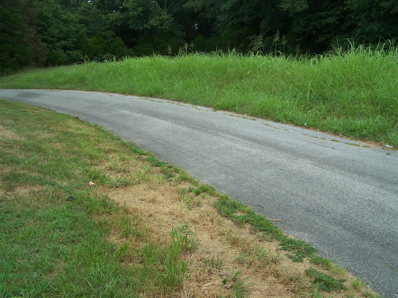 205 Clyde Christy Road Rochester, KY 42273 - Photo 20 of 23 Gallery Image 20