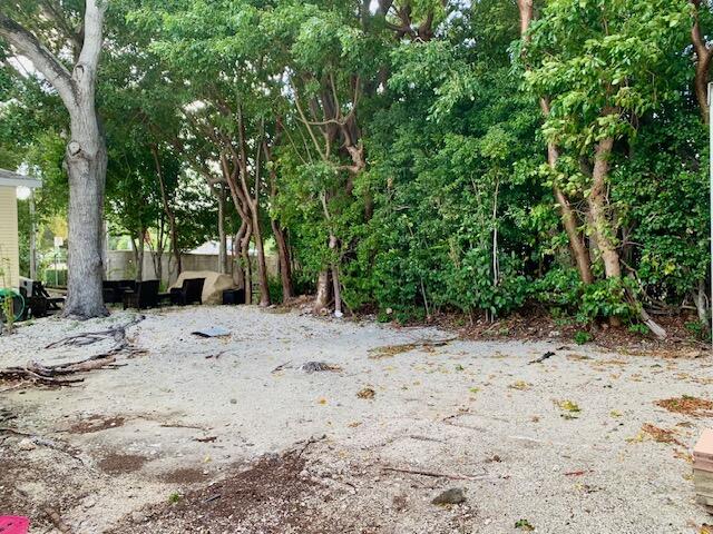 818 South Emerald Drive Key Largo, FL 33037 - Photo 25 of 44 BACK YARD