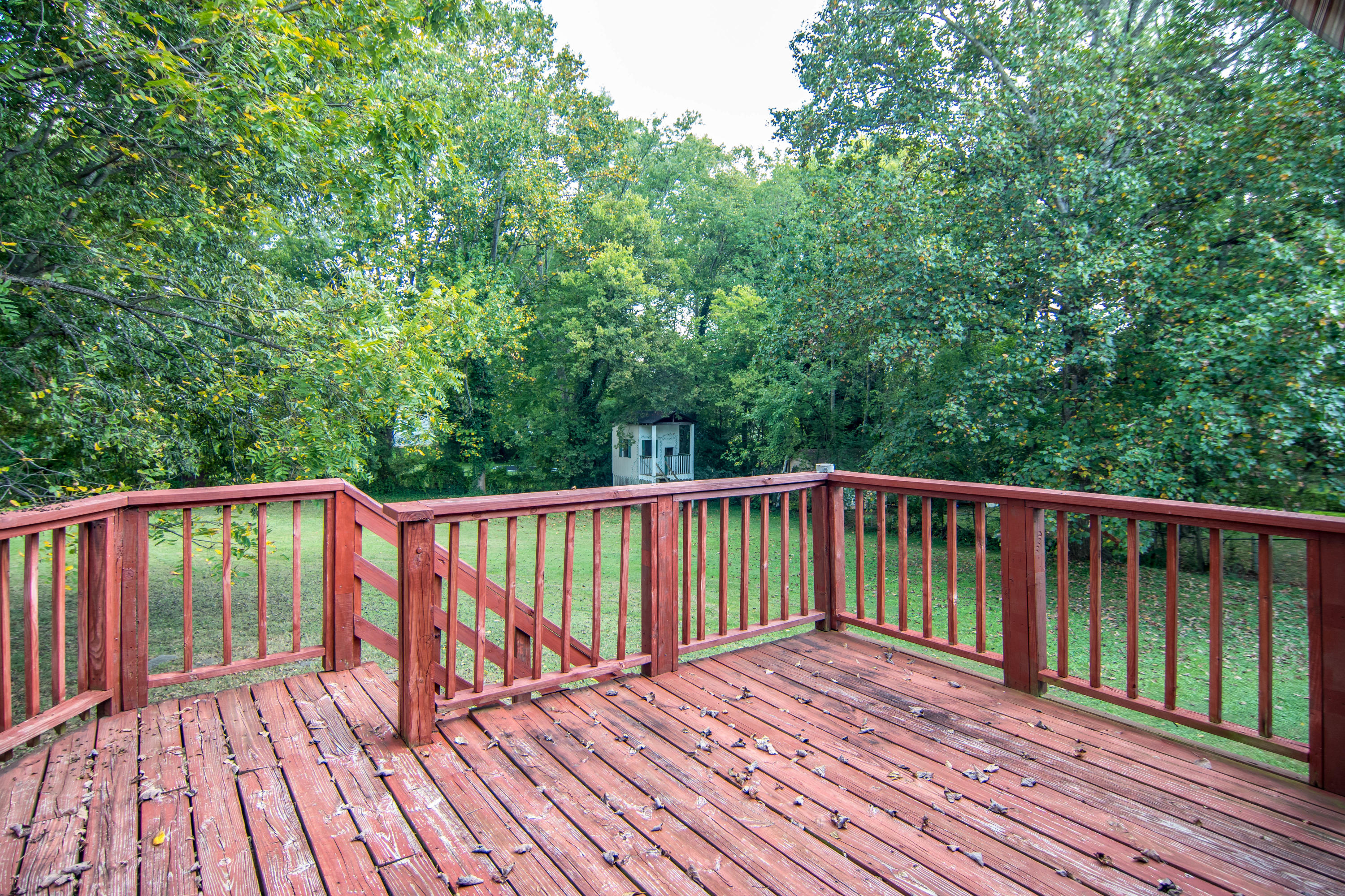 704 Coventry Road Knoxville, TN 37923 - Photo 17 of 19 DSC_0154