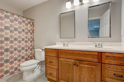 a bathroom with a toilet a sink and mirror